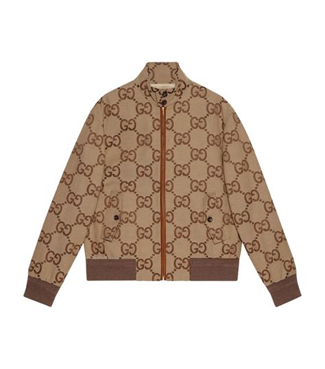 gucci jacket price in nigeria|Gucci jacket price in rands.